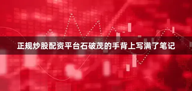 正规炒股配资平台石破茂的手背上写满了笔记