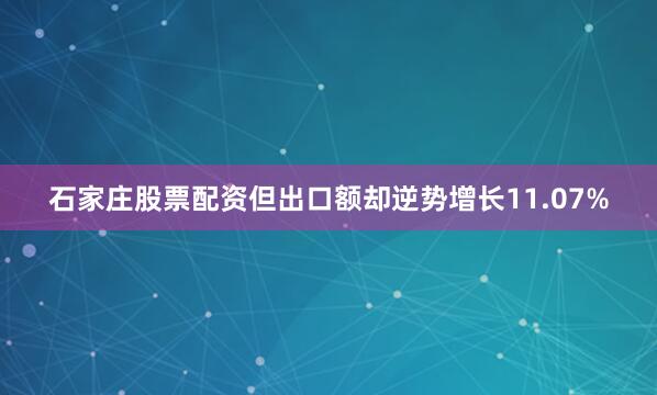 石家庄股票配资但出口额却逆势增长11.07%