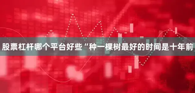 股票杠杆哪个平台好些“种一棵树最好的时间是十年前