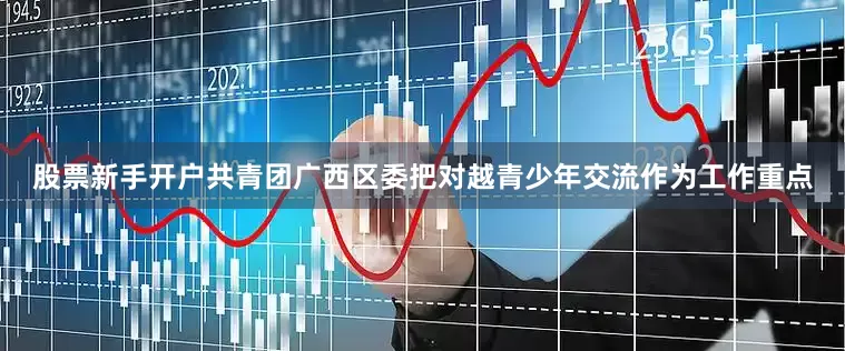 股票新手开户共青团广西区委把对越青少年交流作为工作重点