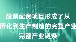 股票配资项目形成了从研发孵化到生产制造的完整产业链条