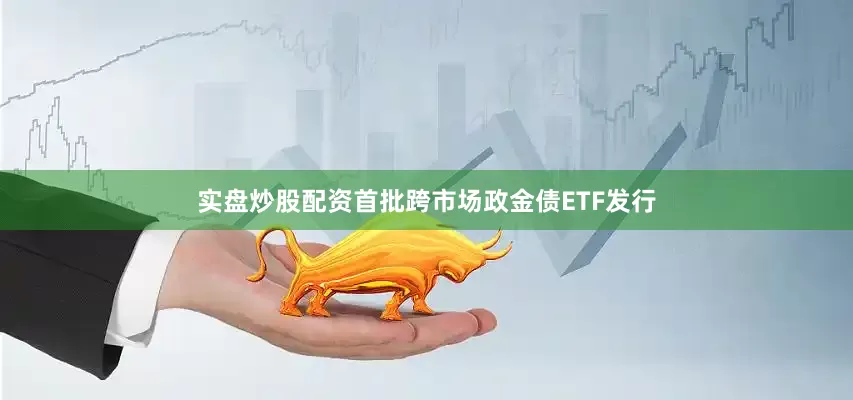 实盘炒股配资首批跨市场政金债ETF发行